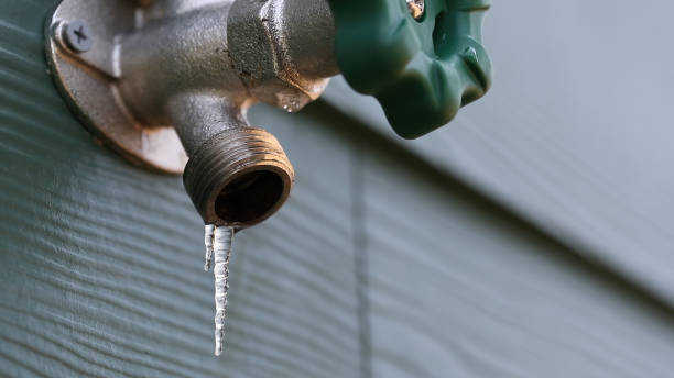 Best Commercial Plumbing Services  in Lake Elsinore, CA